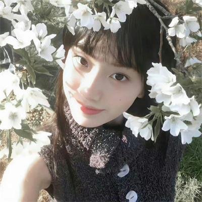 歌舞青春:音乐剧集第一季